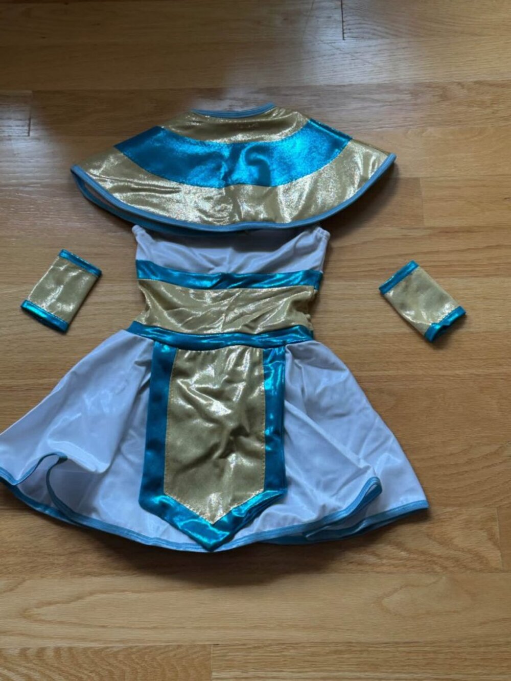 Cleopatra/Egypt Theme Costume